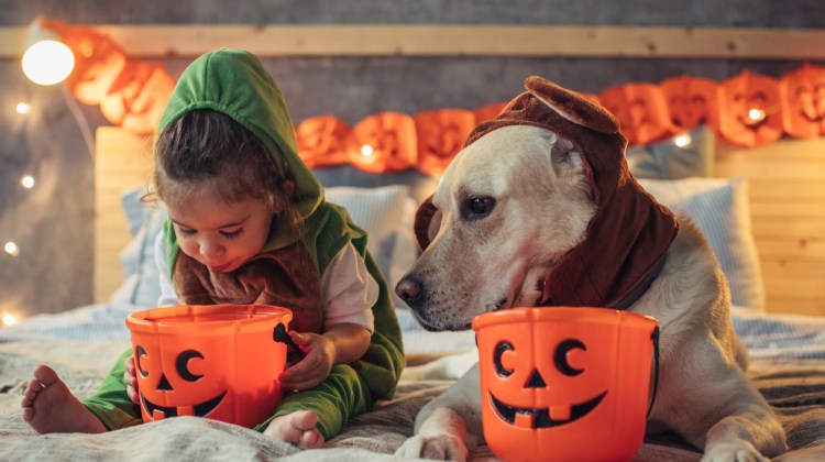 Halloween Candy: 12 Fun Ideas for a Healthier Holiday