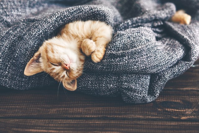 Relax, we've got it under control so you can lose weight effortlessly eating delicious meals.