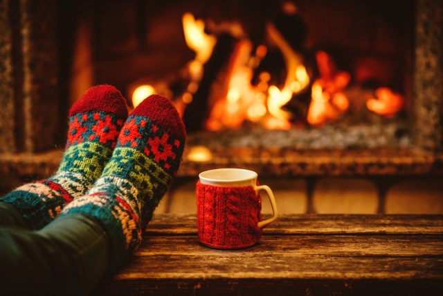 Go on, put your feet up and we'll do all the cooking; avoid holiday weight gain by ordering Personal Trainer Food now!