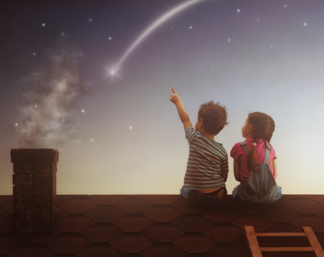Never stop reaching for the stars, Personal Trainer Food can help you meet your weight loss goals today.